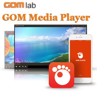   - GOM Player Plus 2.3.25.5282 RePack (&Portable) by Manshet