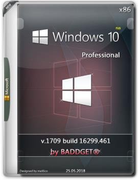 Windows 10.0 rs3 PRO / v.1709.16299.461 / x86 / by BADDGET®