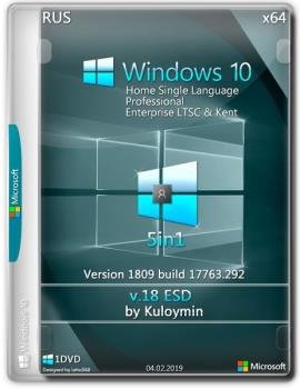 Windows 10 (v1809) x64 5in1 by kuloymin v18 (esd)