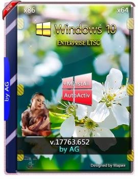 Windows 10 Enterprise LTSC WPI by AG 07.2019 [17763.652]