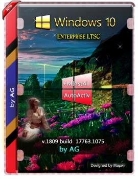 Windows 10 Enterprise LTSC WPI by AG 02.2020 [17763.1075]  