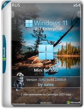 Windows 11 IoT Enterprise Mini 22000.9 for SSD by xalex (x64)