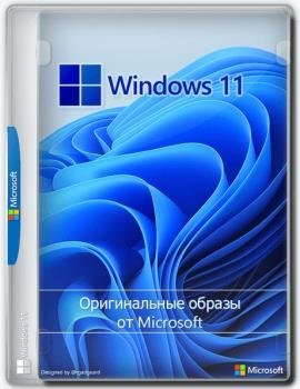 Windows 11 [10.0.22000.258], Version 21H2 (Updated October 2021) -    Microsoft MSDN