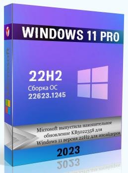 Windows 11 Pro Build 22623.1245    by WebUser